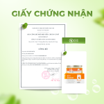 Giấy chứng nhận