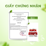 Giấy chứng nhận