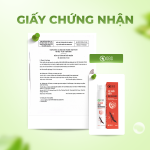 Xịt đuổi kiến 3 khoan
