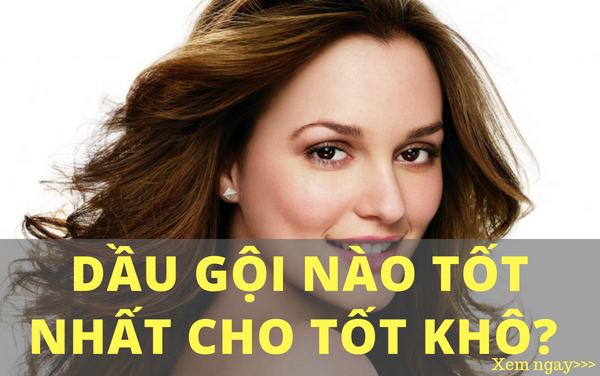 Tóc khô xơ dùng dầu gội gì để đem lại hiệu quả tốt