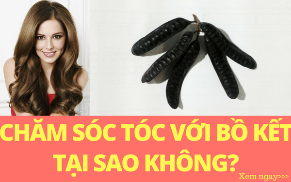 Tìm hiểu công dụng của bồ kết trong chăm sóc tóc