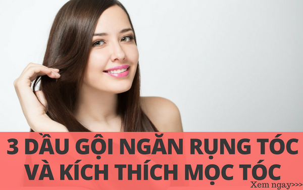 Top 3 dầu gội ngăn rụng tóc và kích thích mọc tóc hiệu quả