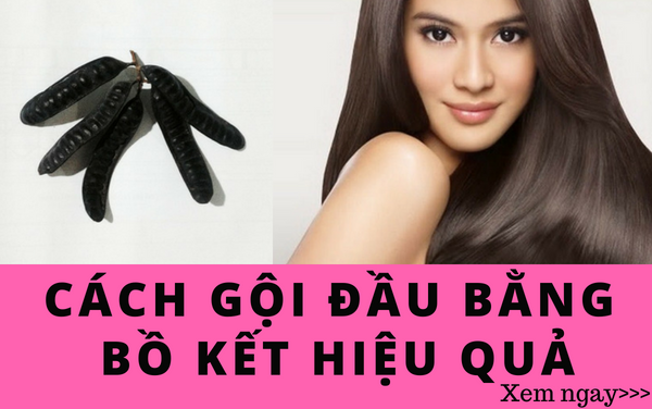 Cách gội đầu bằng bồ kết đúng cách