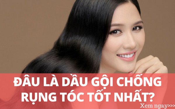 Tìm hiểu đâu là dầu gội chống rụng tóc tốt nhất hiện nay?