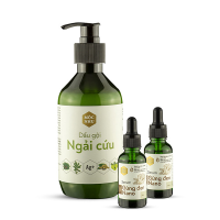 Combo 1 gội 2 serum ngải cứu và gừng đen Mộc Nhu - Giải pháp cho nấm gàu da đầu